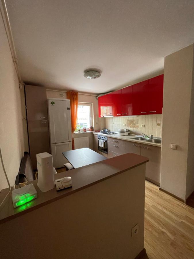 Cerna Apartament Daire Braşov Dış mekan fotoğraf