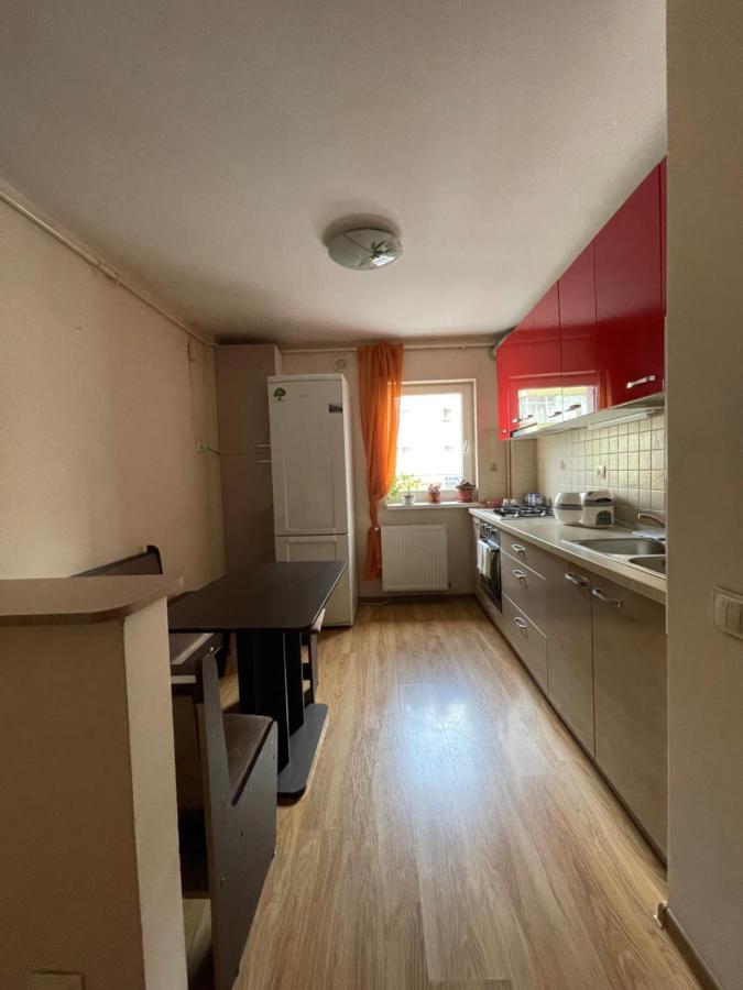 Cerna Apartament Daire Braşov Dış mekan fotoğraf